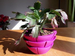 ringraziamento cactus piatto famiglia vaso di fiori la pianta piantare in pot succulente 3d print model - Mito3D