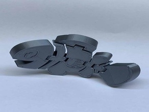 flexi nemo animali animale articolato pesce pagliaccio flessibile 3d print model - Mito3D