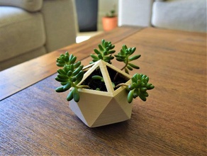 low poly planter decor flower pot vase plant plants polygon polyhedron succulent succulents holder vases 3d print model - Mito3D