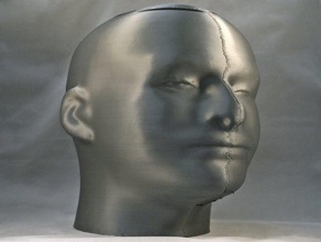 mannequin head full size people 3d scan face human 3d print model - Mito3D