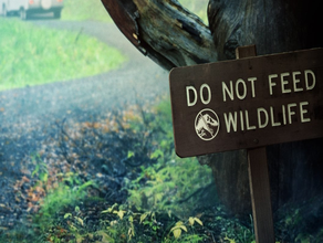 jw - do not feed wild life sign props battle big rock dinosaur wildlife door fence jurassic park world plaque post rivals 3d print model - Mito3D