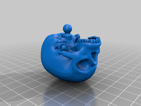 skeleton skull w neck joint 3d printing 3d print model - Mito3D