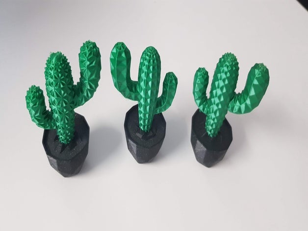 cactus mmu extérieur et jardin 3D print model - Mito3D