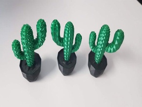 cactus plant mmu outdoor & garden 3d print model - Mito3D