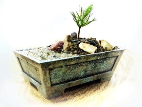 piccolo vaso bonsai 50x75x25 mm all'aperto e giardino fioriera pot succulente 3d print model - Mito3D