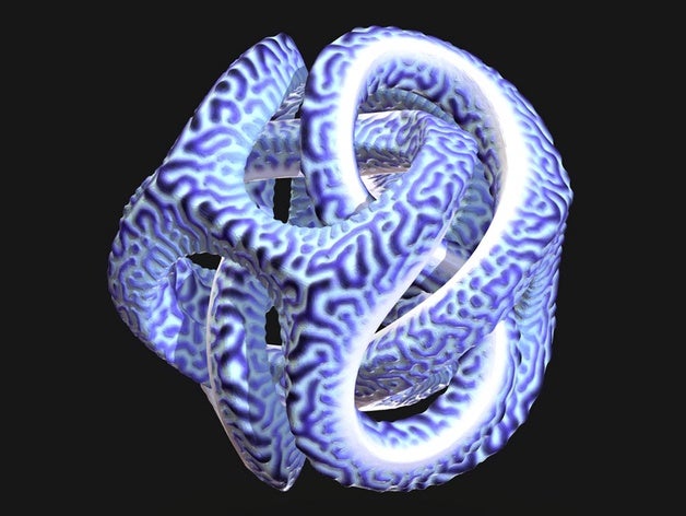 tatebau sculpture math art knot reaction diffusion 3D print model - Mito3D