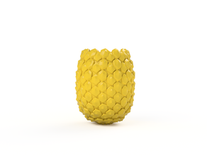 ananas airplant sahibi kaplar airplants 360 füzyon ultimaker 3d print model - Mito3D