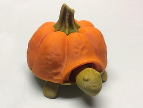 pumkin top squishy turtle toys & games 3d print model - Mito3D