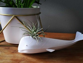 Wal airplant Halter Container airplants fusion 360 3d print model - Mito3D
