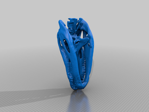 alligator skull - ct scan animals animal 3d print model - Mito3D