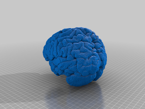 3d slash full brain binary 3d print model - Mito3D