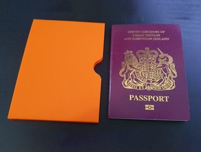 compact passport protector british case passport protection protector travel traveller travelling uk passport useful