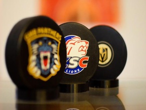 vereinfachend Eis-hockey-puck stehen sport & im freien Eishockey puck 3d print model - Mito3D