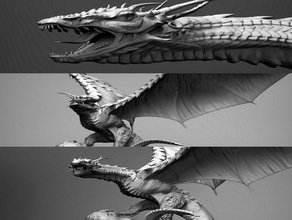 dragon Skulpturen Drachen dungeons dragons 3d print model - Mito3D