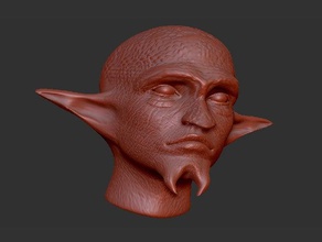 test head sculptures character figure people zbrush sculpt 3d print model - Mito3D
