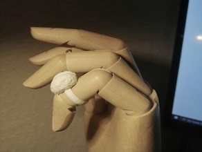personnalisable cerveau de l'anneau les anneaux l'anatomie du bijoux 3d print model - Mito3D