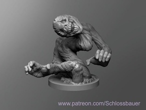 Jungen false hydra Spielzeug & Spiele dnd dungeons dragons tabletop 3d print model - Mito3D