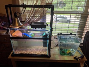 10 gal above tank basking area pets 3d print model - Mito3D