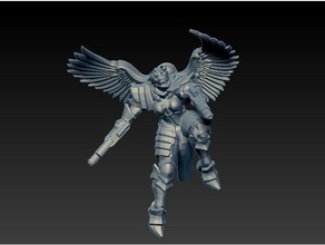 angel sister doublegun games proxy miniatures seraphim sisters battle warhammer 40k 3d print model - Mito3D