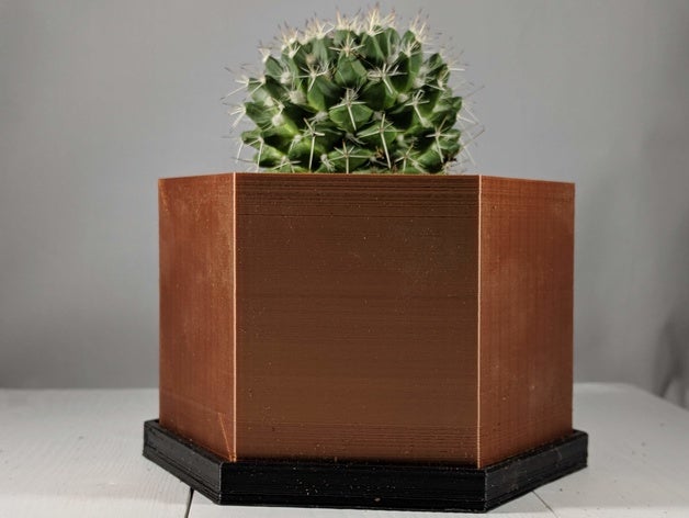 hexágono maceta de drenaje plato al aire libre y jardín cactus en la planta suculenta 3D print model - Mito3D