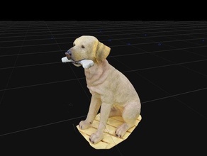 dog - photogrammetry scans & replicas 3d print model - Mito3D