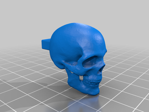 usb cover skull 3d print model - Mito3D