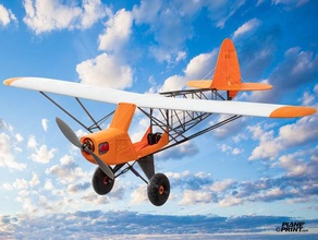3d rc savage bobber r c araçlar yazıcı uçak kontrollü radyo uzaktan kumanda ölçek ölçekli model 3d print model - Mito3D