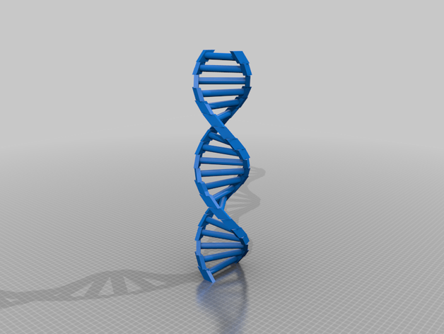 özelleştirilebilir dna interaktif sanat çift sarmal 3D print model - Mito3D