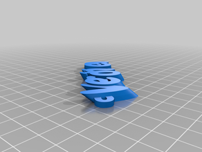 ver nica keyfob portachiavi organizzazione su misura 3d print model - Mito3D