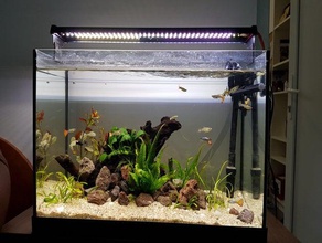 l'appareil d'éclairage d'aquarium le bricolage 3d print model - Mito3D