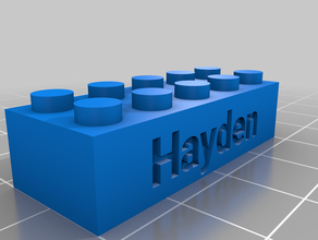 hayden brique les signes et logos personnalisé 3d print model - Mito3D
