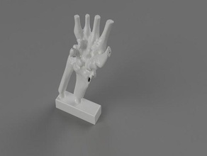 human wrist ct scan sculptures 3d print model - Mito3D