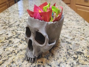 cranio ciotola sculture 3d print model - Mito3D