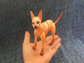 gato sphynx animal bjd figura 3d print model - Mito3D