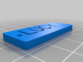 lucy label organization customized 3d print model - Mito3D