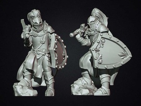 fantasy medieval knight shield people 3d printing action figure character dnd miniature dungeons dragons mini model static statue strategy game tabletop warrior weapon 3d print model - Mito3D