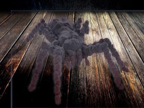schreckliche Viech - alle openscad Dekor arachnid Herbst halloween-Dekoration haunted house Urlaub horror spider 3d print model - Mito3D
