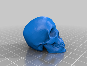 diodo emissor de crânio esculturas 3d print model - Mito3D