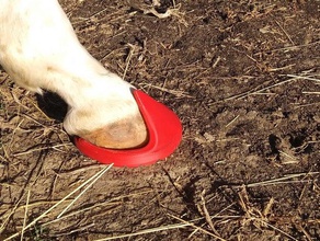 fuznuz epoxy+Silikon-hoof boot, den Fortschritt der Arbeit Haustiere boot HUF Pferd ein Hufeisen Reiten 3d print model - Mito3D