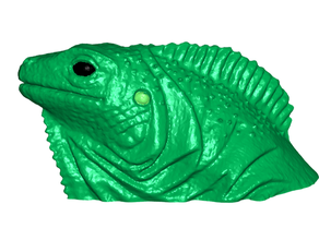 iguana frigorifero lavagna magneti arredamento animale magnete del magnetica 3d print model - Mito3D