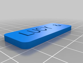 lucy & label v2 organization customized 3d print model - Mito3D