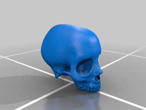 cranio umano modelli 3d print model - Mito3D
