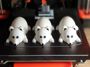 o nosso urso esculturas nossa ours blanc polaire branco 3d print model - Mito3D