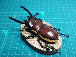 prospocoilous bison lucanidae stag beetle 3d print model - Mito3D