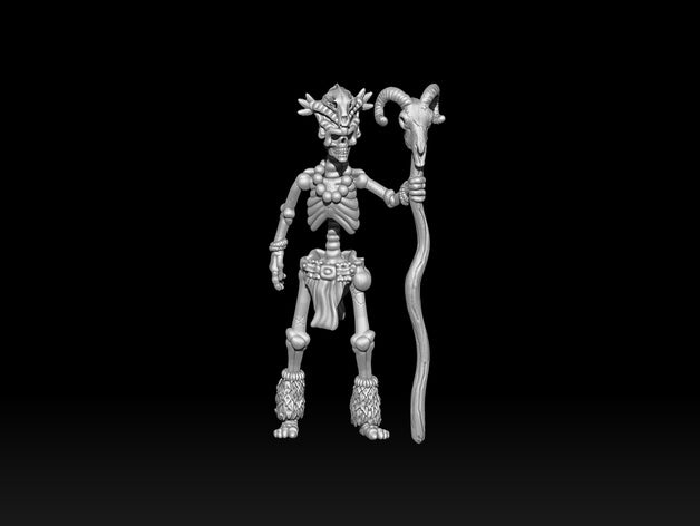 skeleton witch doctor 3d printing dnd necromancer undead witchdoctor 3D print model - Mito3D