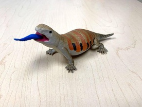 blue tongued skink sculptures lizard northern 3d print model - Mito3D