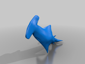 squalo martello 3d print model - Mito3D