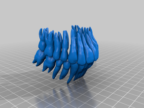 i denti umani 3d print model - Mito3D