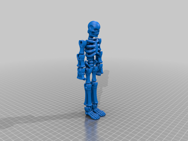 esqueleto do modelo 3D print model - Mito3D