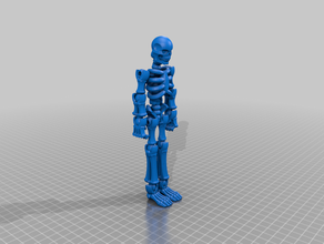 skeleton model 3d print model - Mito3D